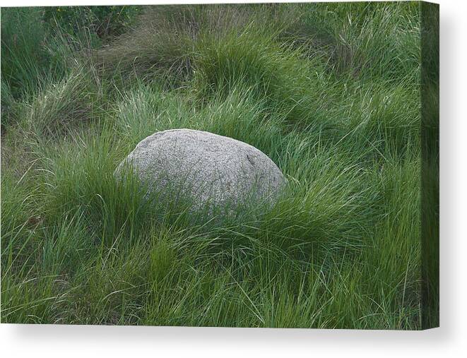 The Egg In The Nest Canvas Print featuring the photograph The Egg in the Nest by Viktor Savchenko