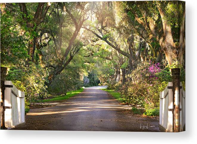 Healthy Canvas Print featuring the photograph The Entrance by Lisa Lambert-Shank