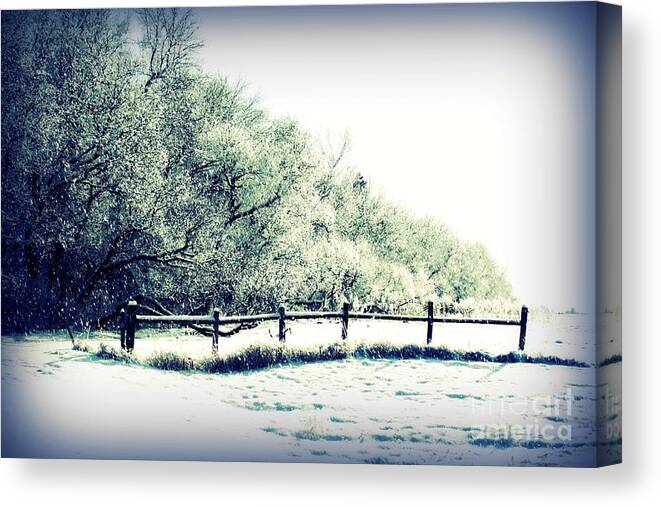 Trees Canvas Print featuring the photograph The Fence by Julie Lueders 