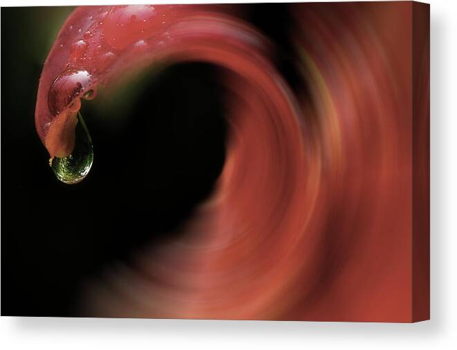 Lily Canvas Print featuring the photograph The Flow Of Summer by Mike Eingle