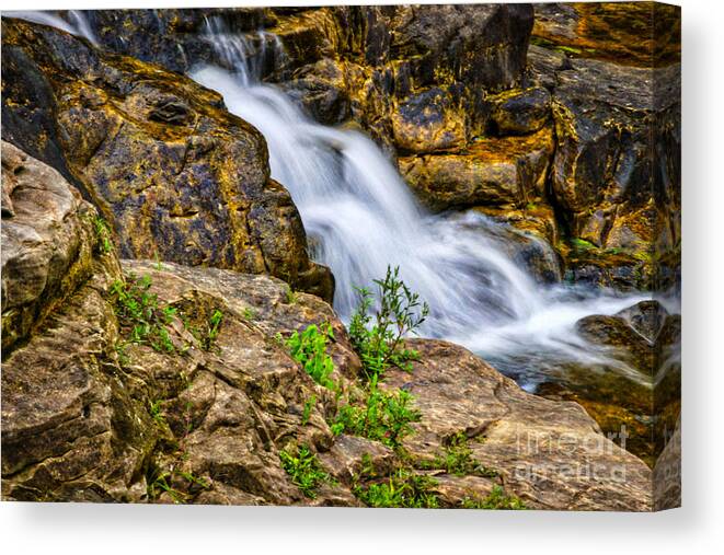 Water Canvas Print featuring the photograph The Flow by Ty Shults