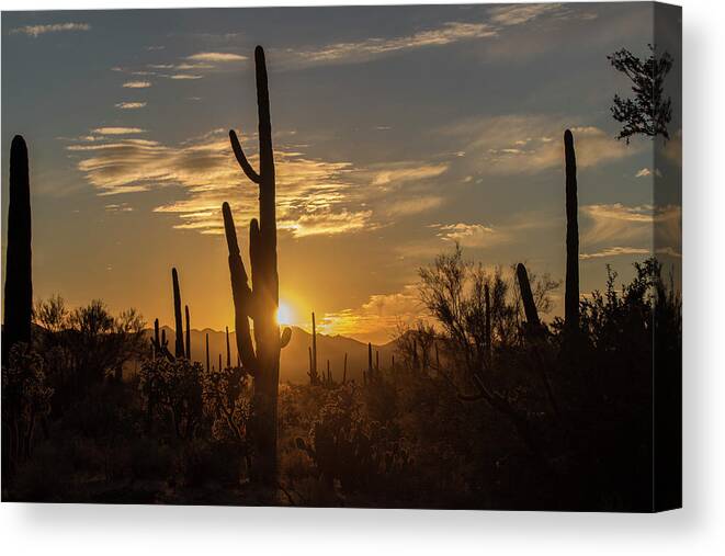 Landscape Canvas Print featuring the photograph The Golden Hour by Teresa Wilson