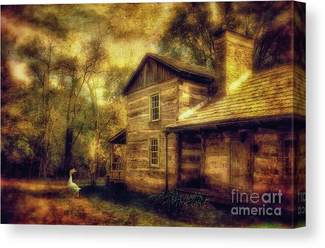 House Canvas Print featuring the photograph The Guardian by Lois Bryan