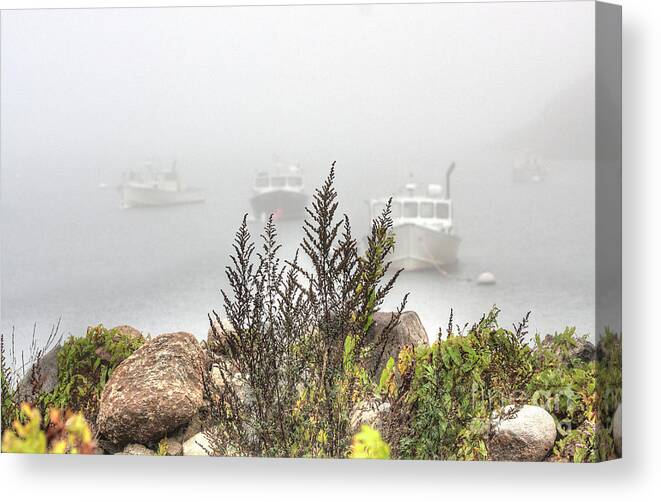 Monhegan Island Canvas Print featuring the photograph The Harbor by Tom Cameron