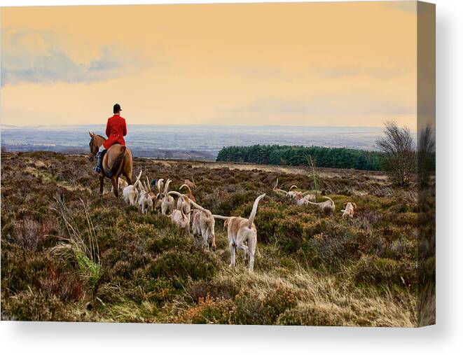 Animals Canvas Print featuring the photograph The High Country by Mark Egerton