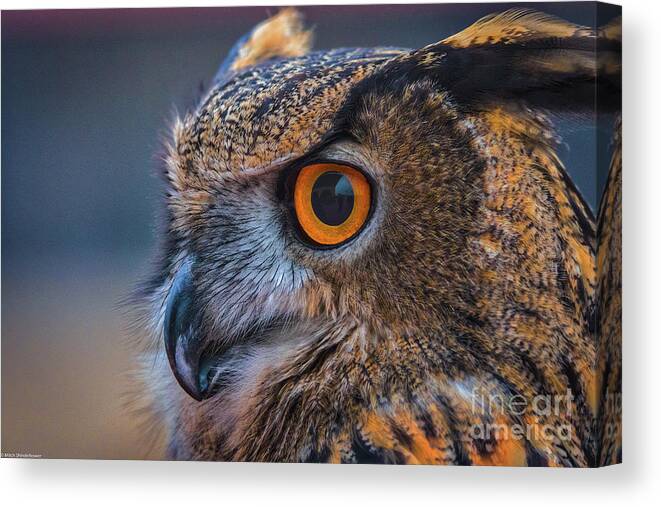 Eurasian Eagle Owl Canvas Print featuring the photograph The Hooter by Mitch Shindelbower