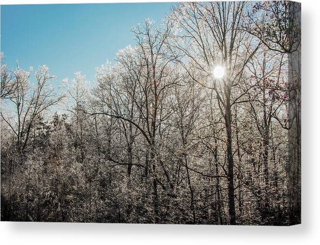 Ice Canvas Print featuring the photograph The Ice Storm by Penny Lisowski