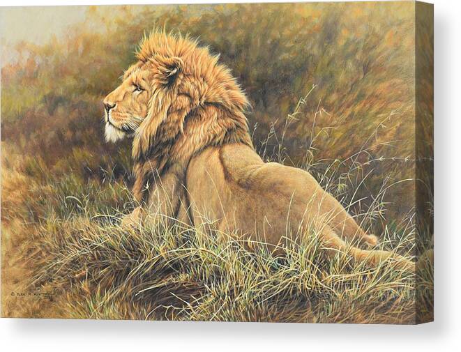 Lion Canvas Print featuring the photograph The King Lion Study by Alan M Hunt