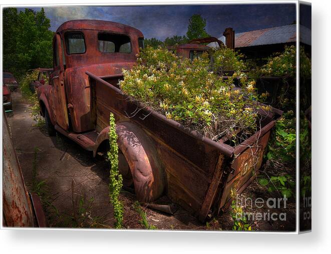 Old Truck Canvas Print featuring the photograph The Last Haul by Arttography LLC