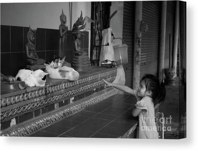 Temple's Cats Canvas Print featuring the photograph The Little Girl And The Temple's Cats by Michelle Meenawong