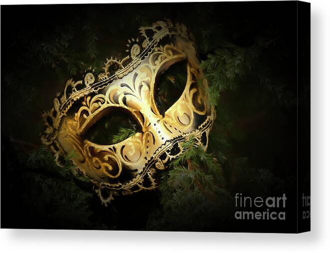 Mask Canvas Print featuring the photograph The Mask by Darren Fisher