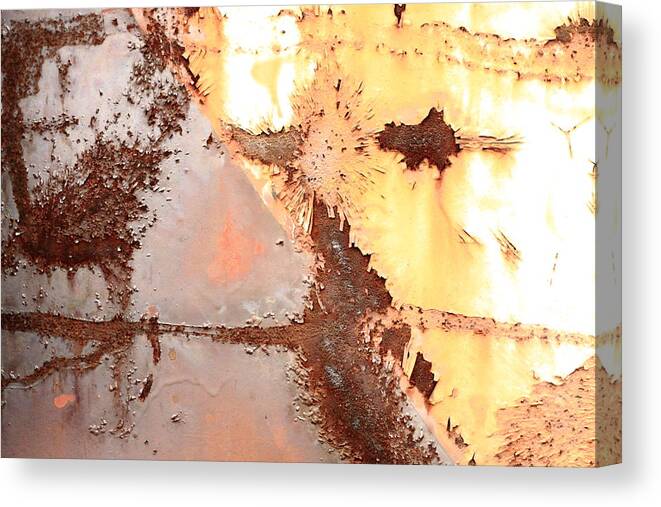 Rust Canvas Print featuring the photograph The Mask by Kreddible Trout