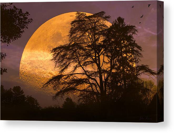 Night Canvas Print featuring the photograph The Night is Calling by John Rivera