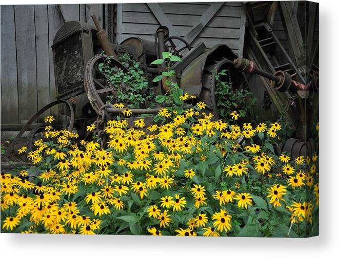 Floral Canvas Print featuring the photograph The Old And New by Jan Amiss Photography
