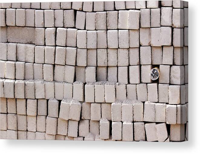 Cement Bricks Canvas Print featuring the photograph The only one by Prakash Ghai