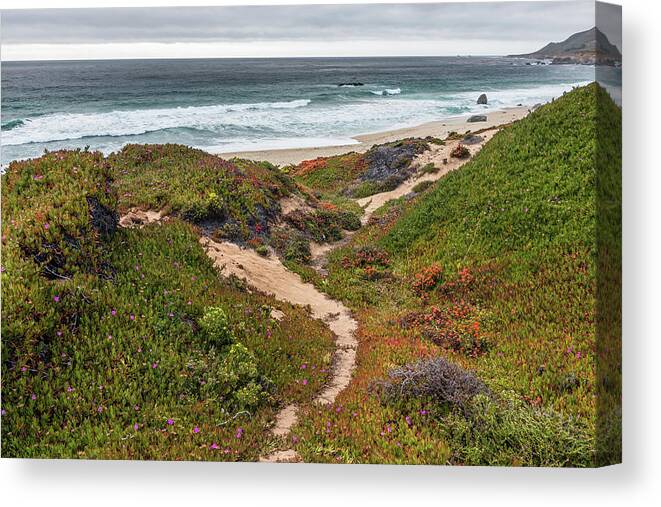 Beach Canvas Print featuring the photograph The Path by Chuck Jason