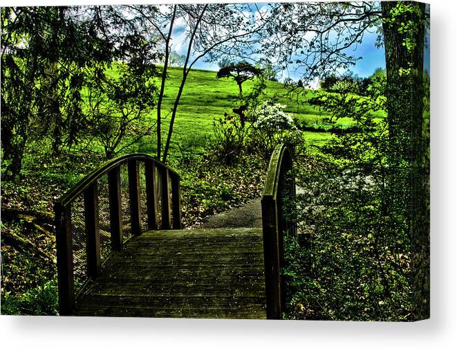 Daniel Houghton Canvas Print featuring the photograph The Path by Daniel Houghton