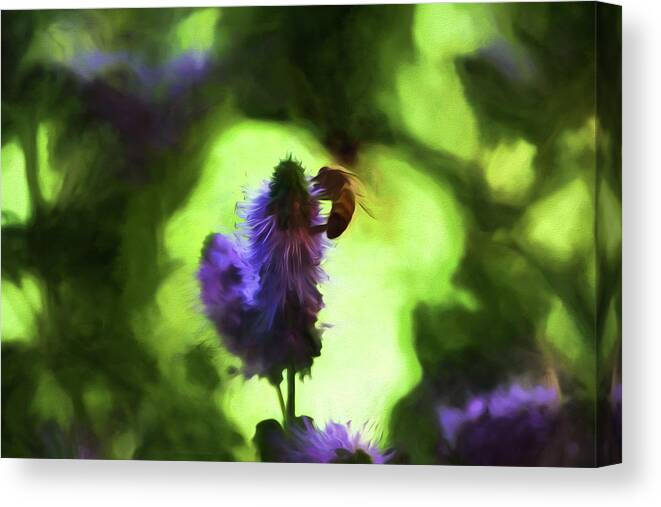 Honeybee Canvas Print featuring the painting The Pollinator by Bonnie Bruno