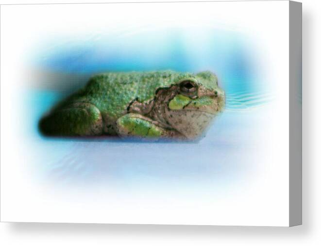 Frog Canvas Print featuring the photograph The Pool Frog by Barbara S Nickerson