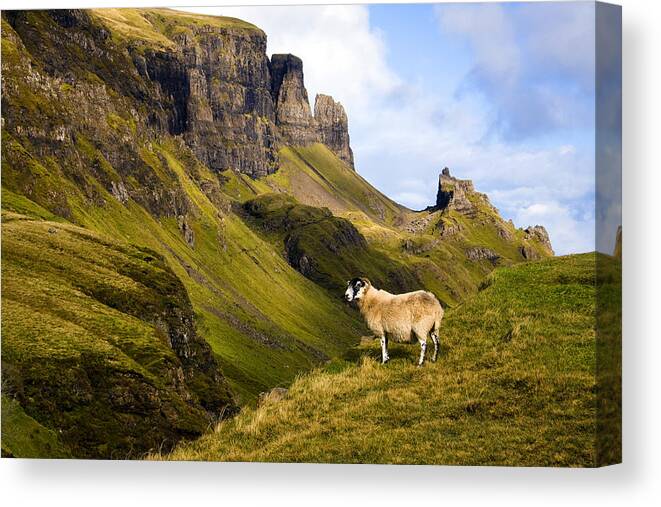 Scotland Canvas Print featuring the photograph The Quiraing Isle of Skye by John McKinlay