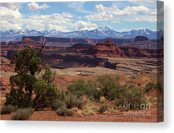 Utah Landscape Canvas Print featuring the photograph The Red Divide by Jim Garrison