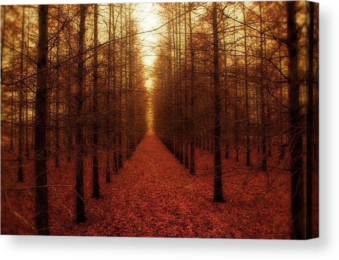 Forest Canvas Print featuring the photograph The Red Forest by Amy Tyler