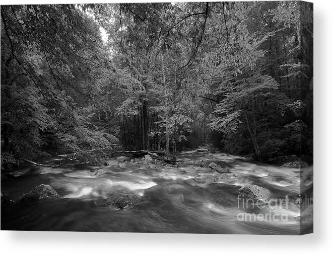 River Canvas Print featuring the photograph The River Forges On by Mike Eingle