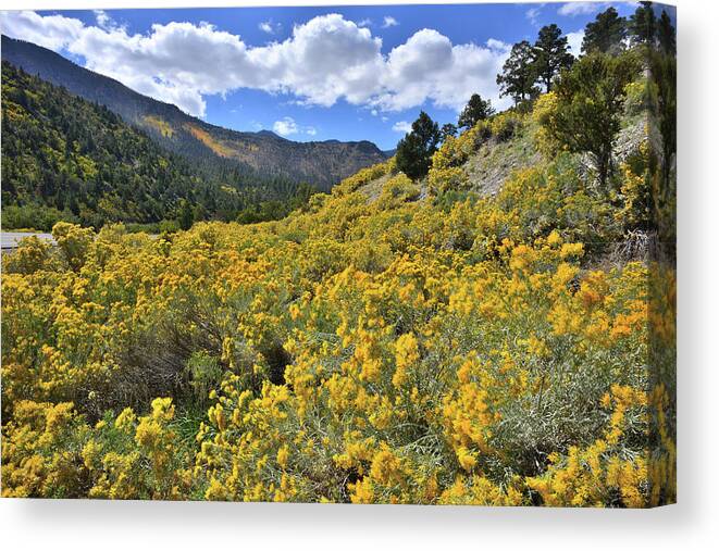Nevada Canvas Print featuring the photograph The Road to Mt. Charleston by Ray Mathis