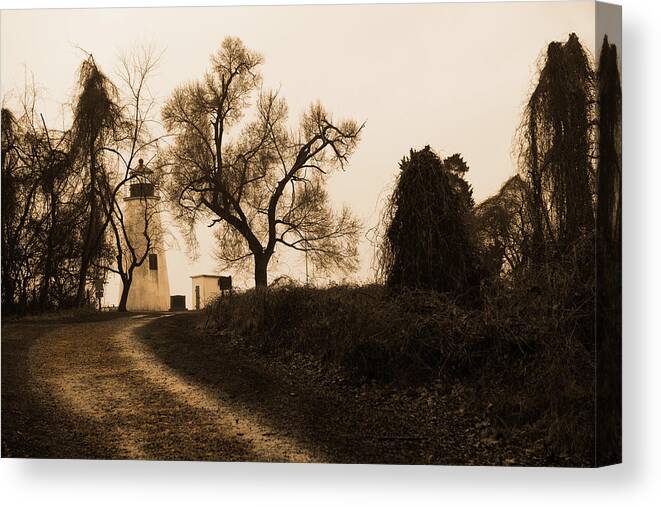 Black And White Canvas Print featuring the photograph The road to Turkey Point Lighthouse by Dennis Dame