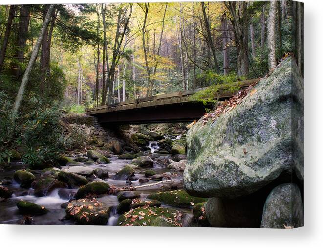 Appalachian Canvas Print featuring the photograph The Roaring Fork by Lana Trussell