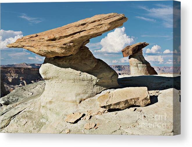 Landscape Canvas Print featuring the photograph The Rock Factory - Stud Horse Point by Sandra Bronstein