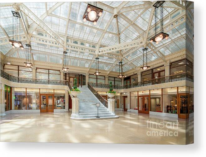 Art Canvas Print featuring the photograph The Rookery by David Levin