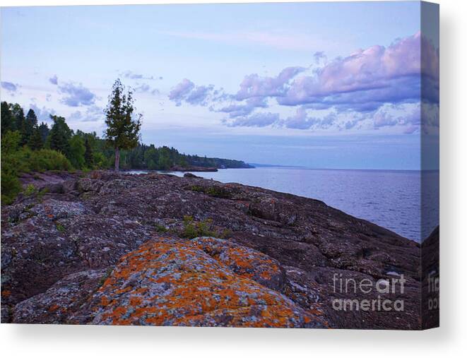 Lake Superior Canvas Print featuring the photograph The Rugged North Shore by Kate Purdy