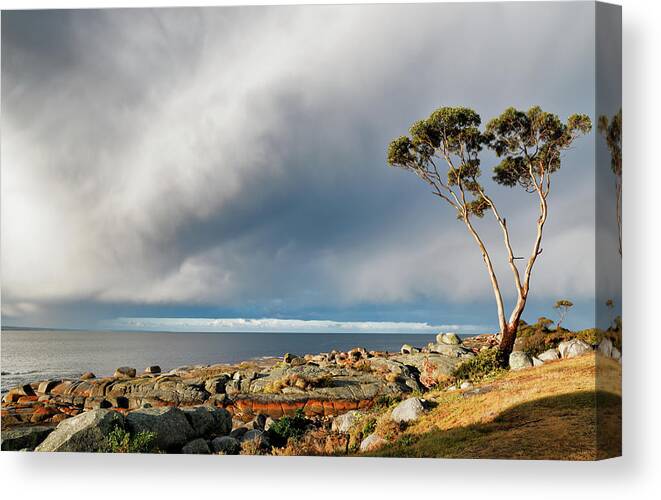 Storm Canvas Print featuring the photograph The Sea and the Sky by Nicholas Blackwell