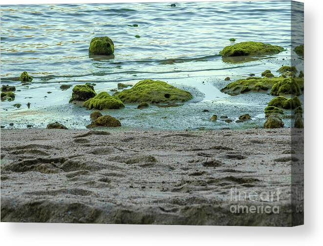Michelle Meenawong Canvas Print featuring the photograph The Seashore by Michelle Meenawong