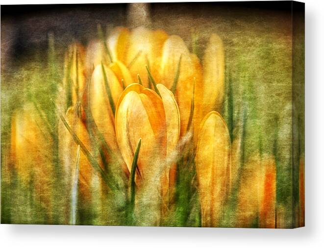 Flowers Canvas Print featuring the photograph The smell of spring by Jaroslav Buna
