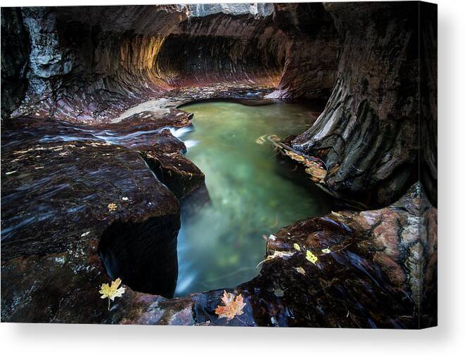 Utah Canvas Print featuring the photograph The Subway by Wesley Aston