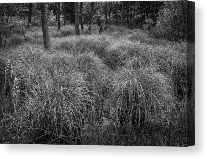 Woodland Canvas Print featuring the photograph The sump. by Elmer Jensen