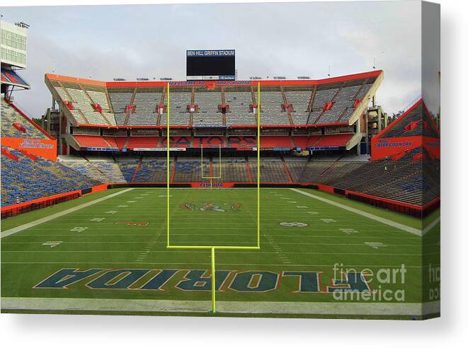 University Of Florida Canvas Print featuring the photograph The Swamp by D Hackett