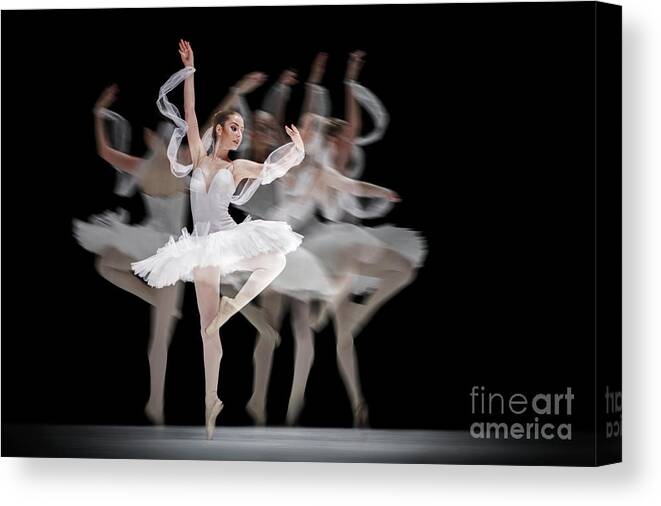 Ballet Canvas Print featuring the photograph The Swan Ballet dancer by Dimitar Hristov