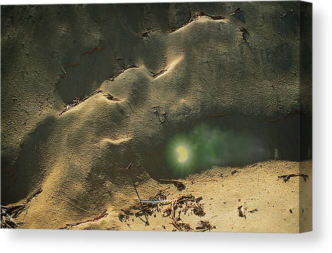 Sand Dunes Canvas Print featuring the mixed media The Tenth Insight by Yuri Lev