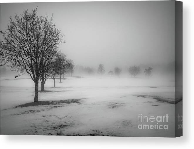 Winter Landscape Canvas Print featuring the photograph The Thaw by Diana Nault