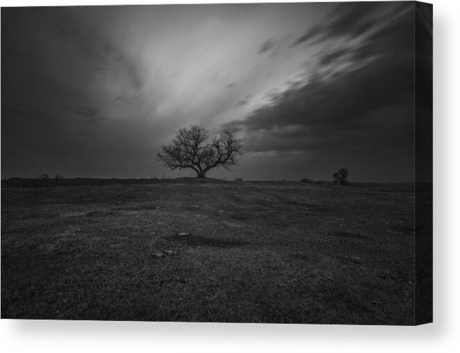 Lee Big Stopper Canvas Print featuring the photograph The Tree by Aaron J Groen