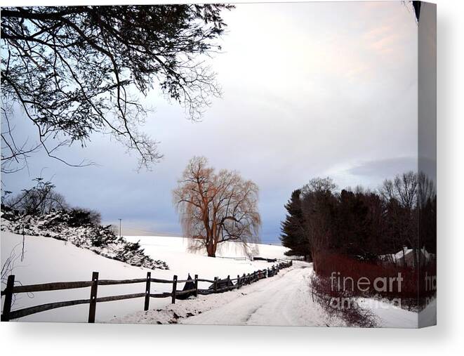 Trees Canvas Print featuring the photograph The Tree by Dani McEvoy