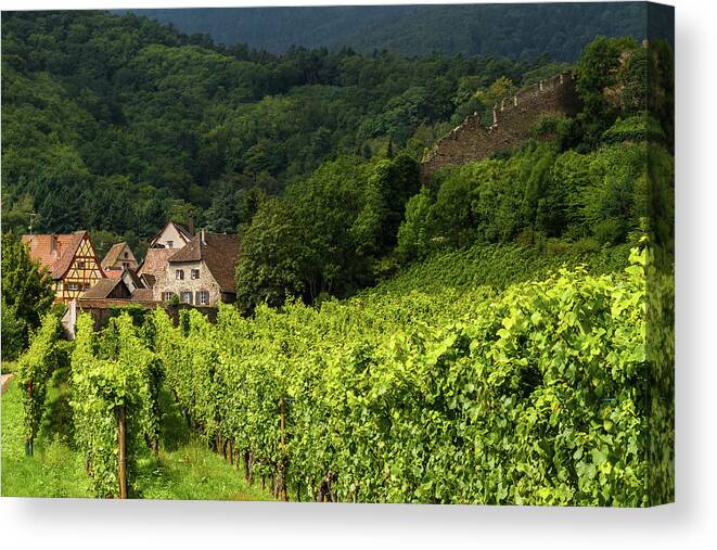 Vineyards Canvas Print featuring the photograph The vineyards of Kaysersberg - Alsace - France by Paul MAURICE