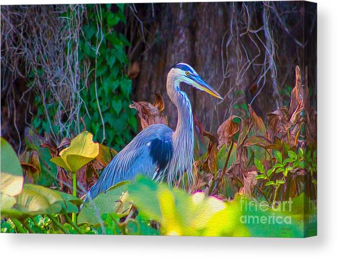 Nature Canvas Print featuring the painting Majestic Great Blue Heron by DB Hayes