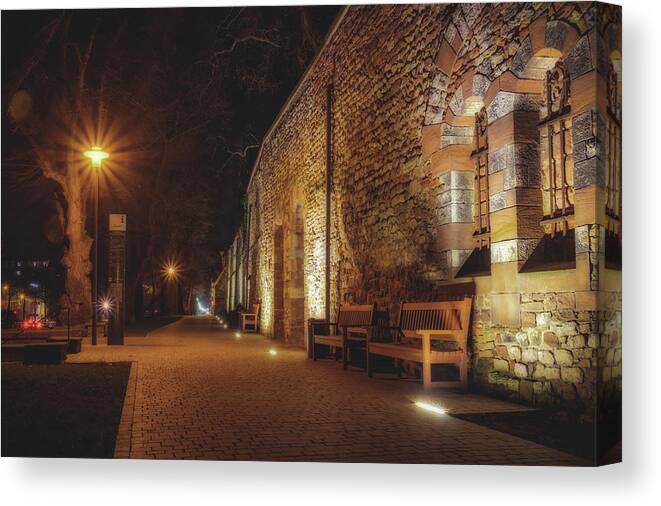 Worms Canvas Print featuring the photograph The Wall by Marc Braner
