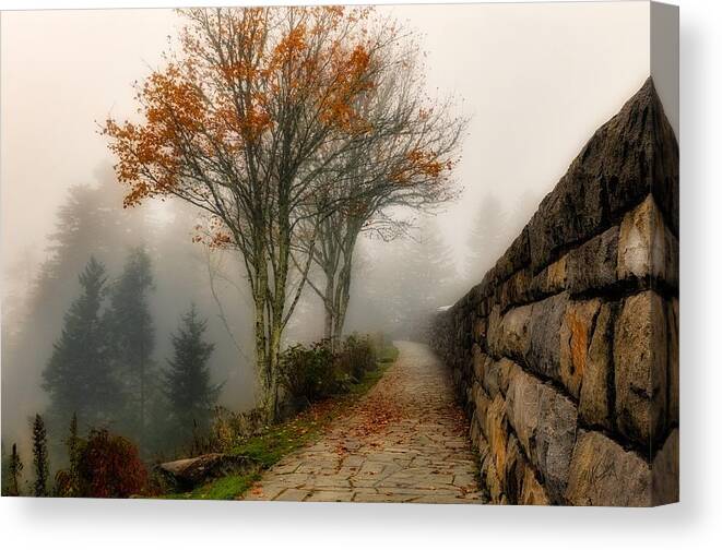  Canvas Print featuring the photograph The Wall by Norman Peay