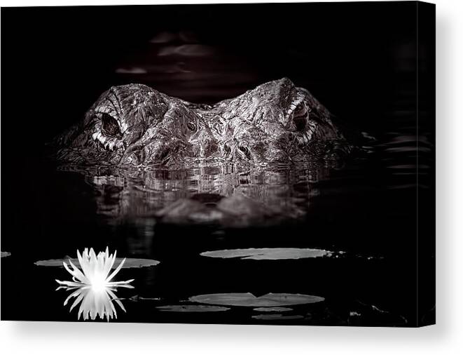 Alligator Canvas Print featuring the photograph The Watcher in the Water by Mark Andrew Thomas