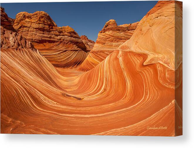 Wave Canvas Print featuring the photograph The Wave by Claudia Abbott